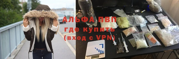 каннабис Богданович