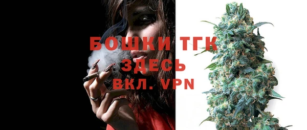 амф Богородицк