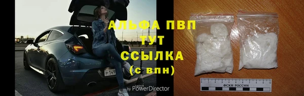 амф Богородицк