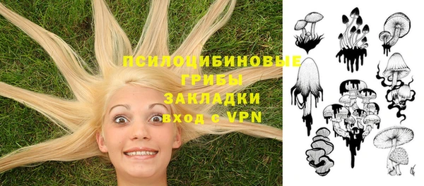 амф Богородицк