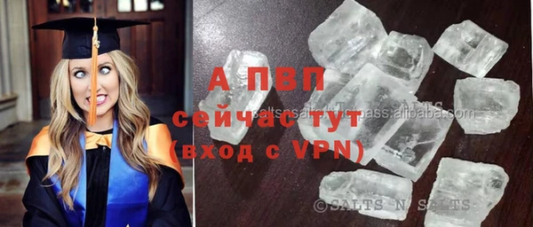 каннабис Богданович