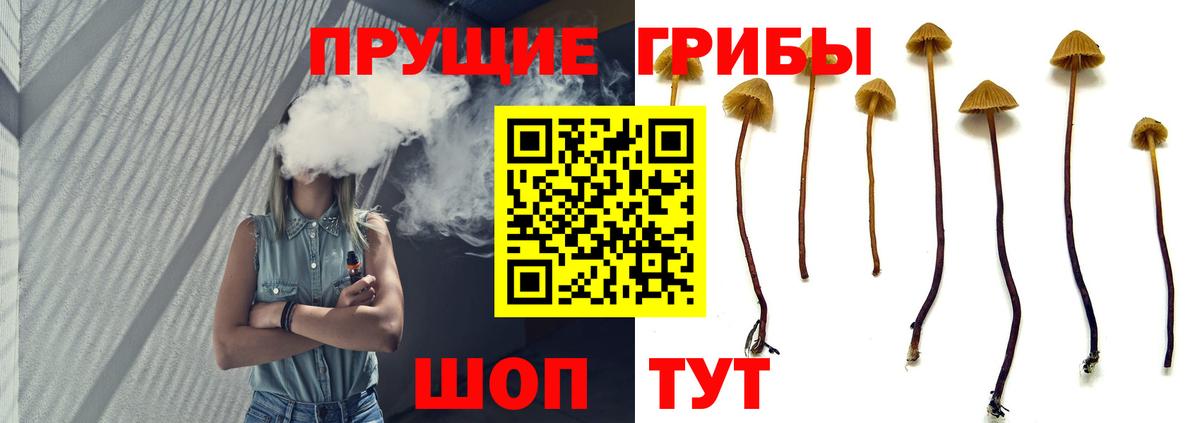 Вязьма  Галлюциногенные грибы Magic Shrooms  Вход с VPN 
